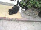 DSCN1470