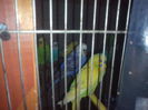 IMG_20141209_210026