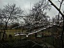 DSC00220