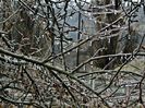 DSC00223