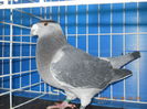 DSCN3378