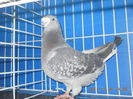 DSCN3389-M-2010
