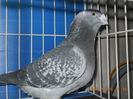 DSCN3410-M-2010