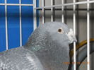 DSCN3424