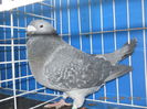 DSCN3427-M-2012