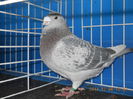 DSCN3447