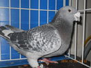 DSCN3480-M-2012