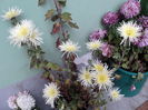 POZE 2014 061