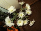 POZE 2014 045