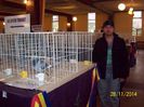 expo (44)