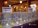 expo (51)
