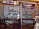 expo (79)