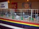 expo (130)