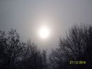 100_6356