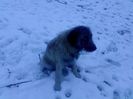 IMG0251A