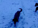 IMG0253A