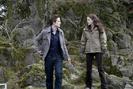 Twilight_1233741879_2_2008[1]