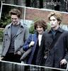 Twilight_1237369861_4_2008[1]