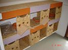 285902d1307106651-zeigt-euren-taubenschlag-her-dsc01298