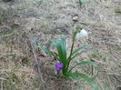 DSCN2808