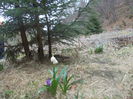 DSCN2809