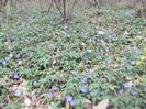DSCN2822