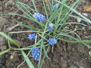 DSCN2833