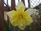 DSCN2834