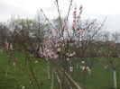 DSCN2837