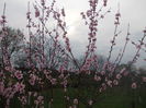 DSCN2839