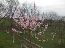DSCN2840
