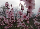 DSCN2841
