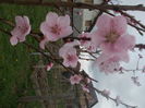 DSCN2842