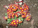 DSCN2882