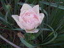 DSCN2883