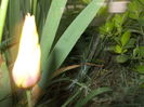 DSCN2886