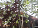 DSCN2891