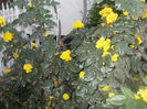 DSCN2892