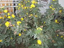 DSCN2893