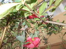 DSCN2896