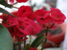DSC08306