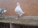 IMG_3221 f 2014