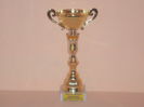 LOC 3 DEMIFOND YEARLINGI 2014
