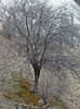 DSC00475