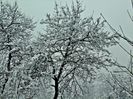 DSC00535