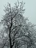 DSC00539