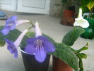 Picture 067