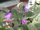 Picture 069