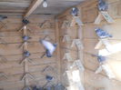 DSCN0055
