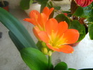 Picture 080
